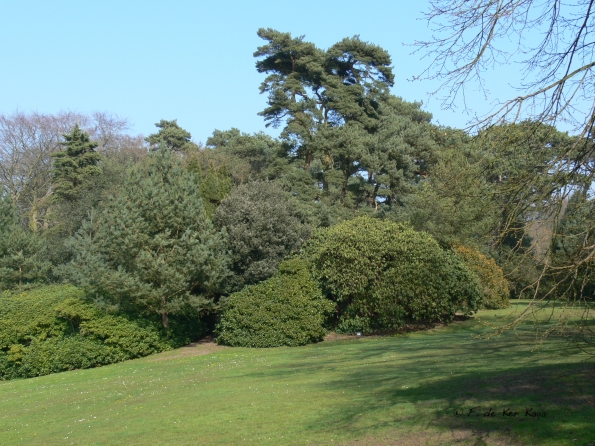 Bois des Moutiers (96) mars 2012